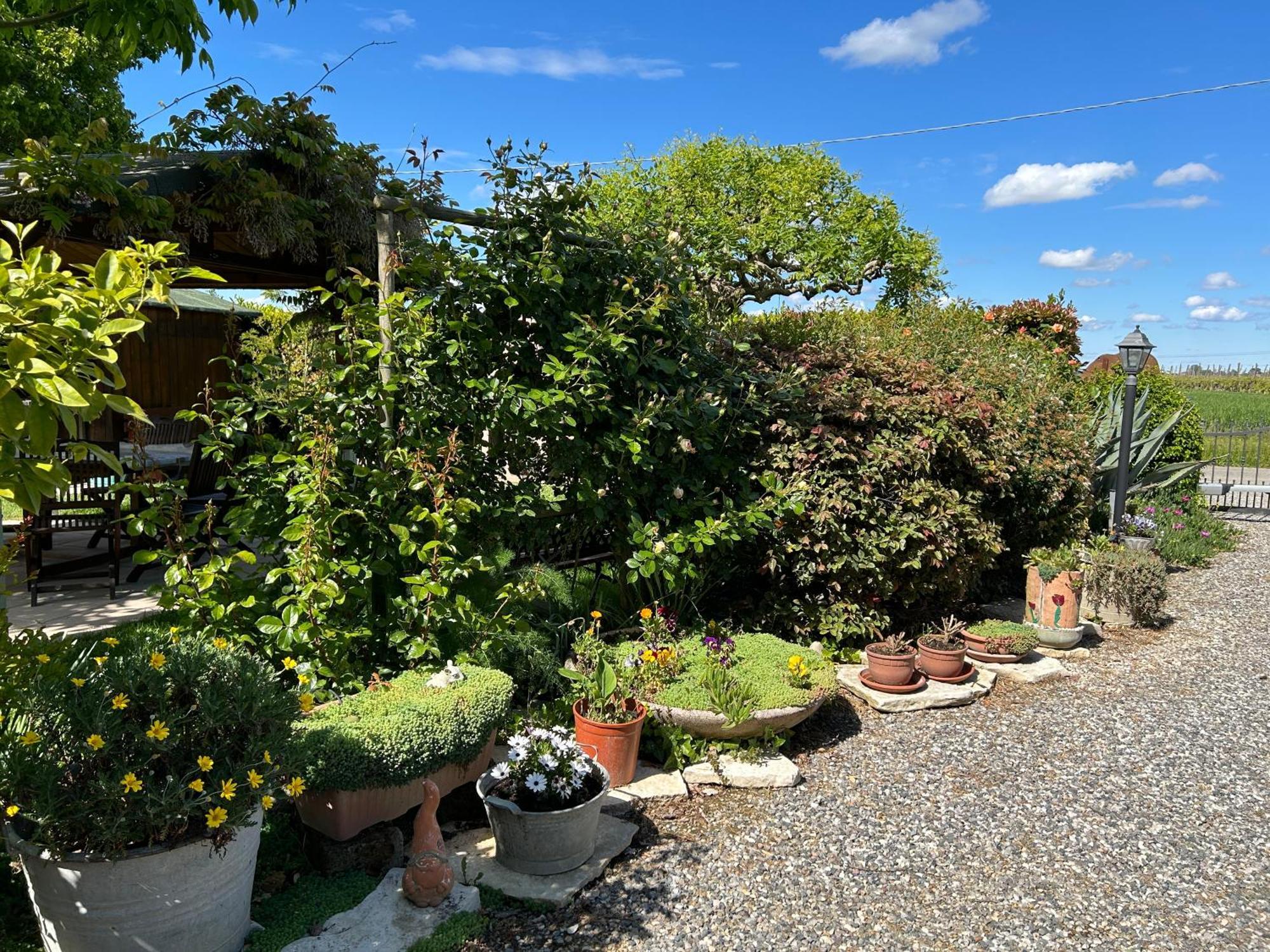 La Casa Di Biba Bed & Breakfast Massa Lombarda Exterior photo